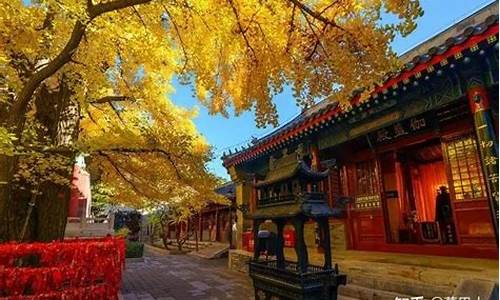 北京潭柘寺一日游报价-北京潭柘寺一日游