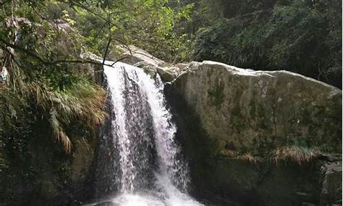 炖鸡腿鸡爪-泉州东溪大峡谷