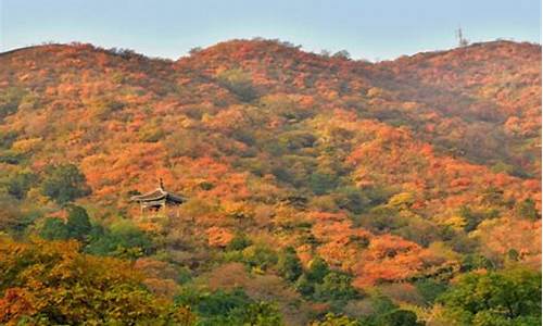 珠海香山公园游玩攻略-珠海香山公园门票预约入口