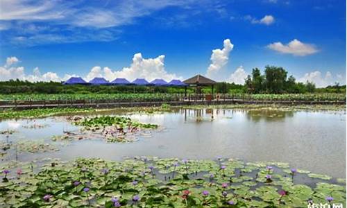 南沙湿地公园多少钱门票-广州南沙湿地公园攻略