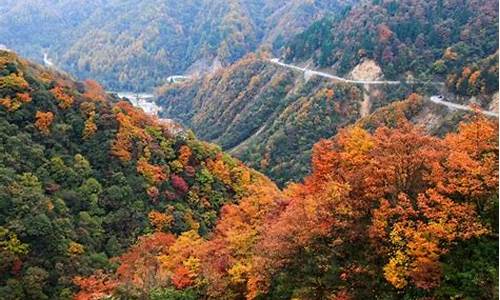 四川光雾山旅游攻略路线-四川光雾山旅游攻略路线