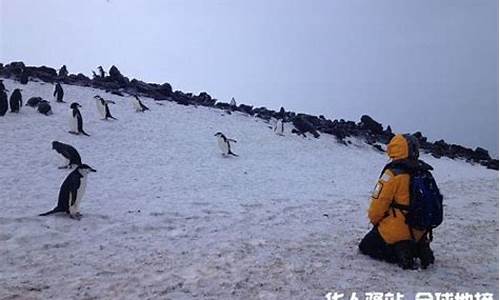 南极旅游团-南极旅游团价格16万北京出发