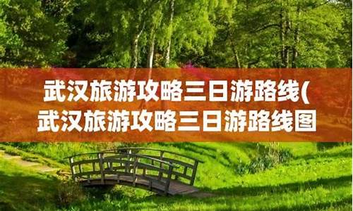 武汉去日本旅游攻略-武汉去日本旅游攻略图